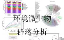 微生物群落多樣性--擴(kuò)增子測序