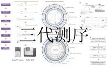 三代測序簡介